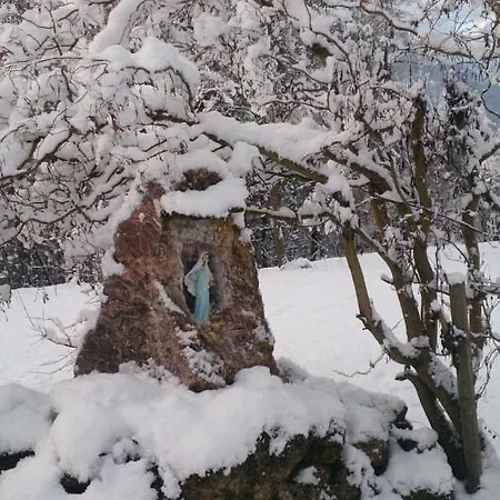 Guest house Lo Scoiattolo Nebbiu